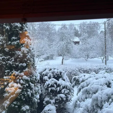 Peaceful In The Center Of * Tartu