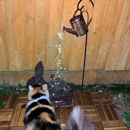 Peaceful In The Center Of Apartament