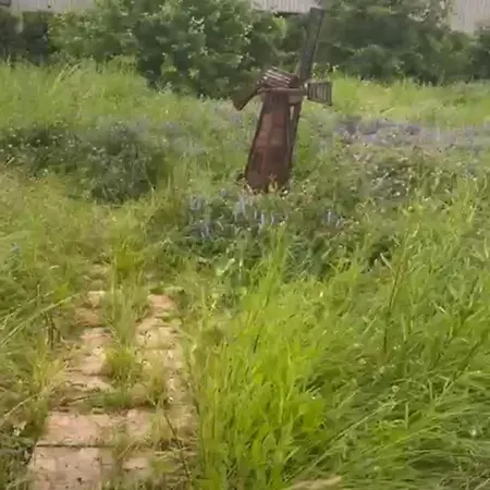 Peaceful In The Center Of *