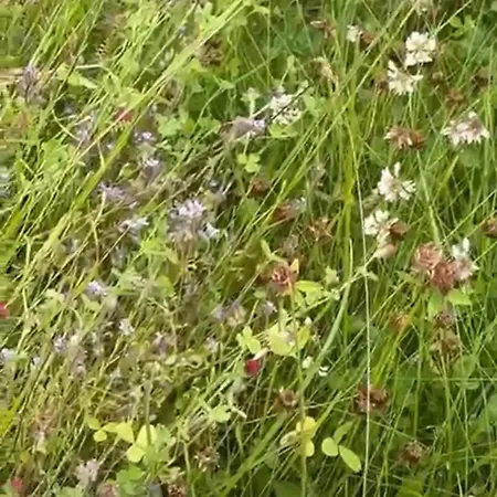 Peaceful In The Center Of Appartement *