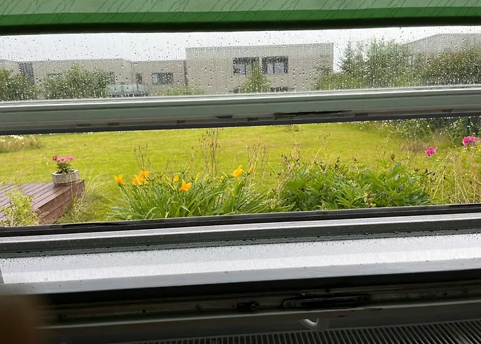 Peaceful In The Center Of *