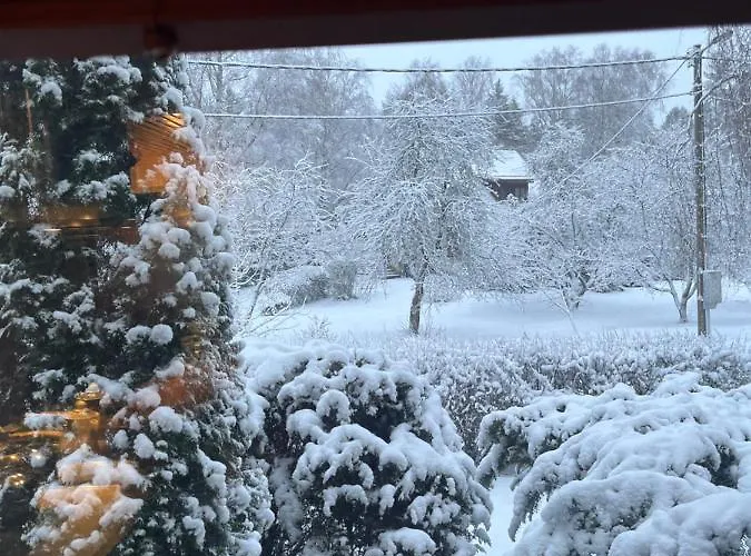 Peaceful In The Center Of * Tartu