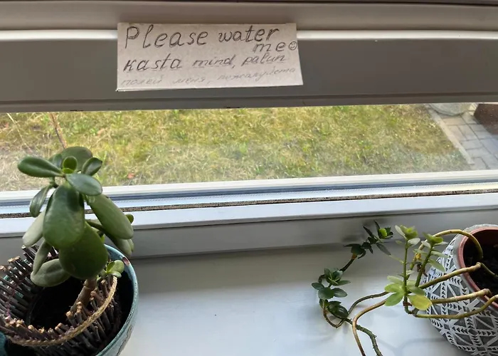 Peaceful In The Center Of