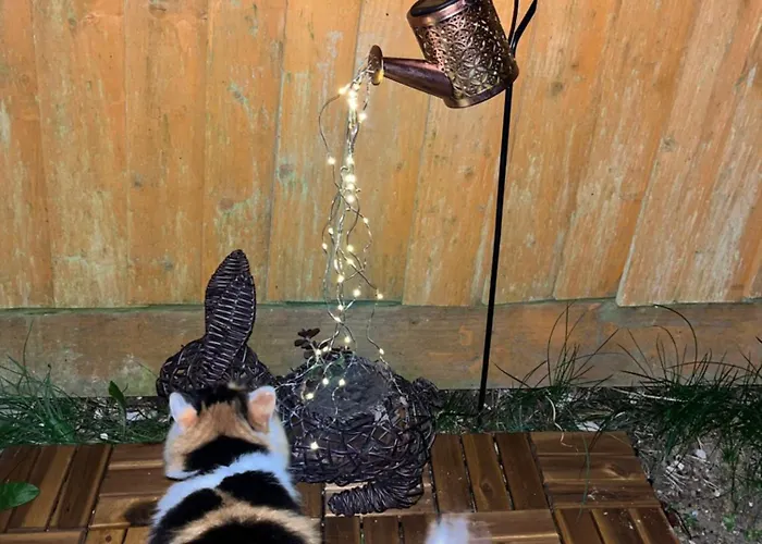 Peaceful In The Center Of Apartment