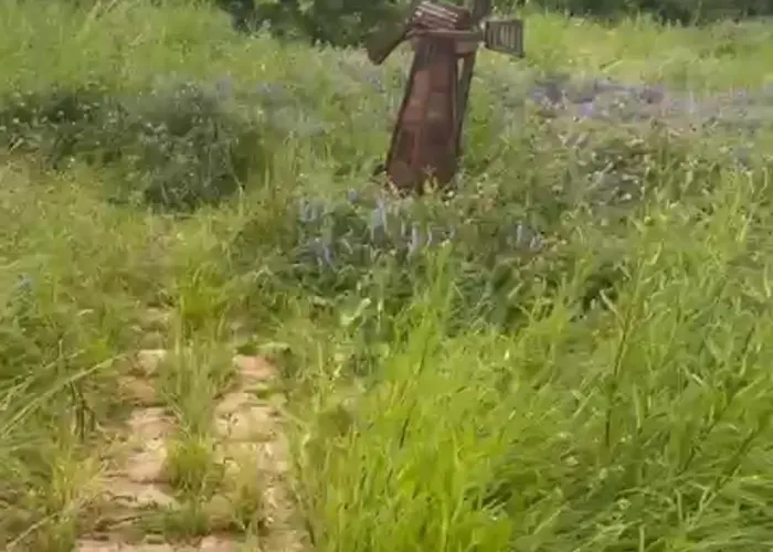 Peaceful In The Center Of *