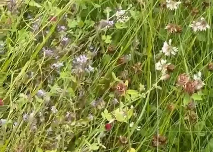 Peaceful In The Center Of Apartment *